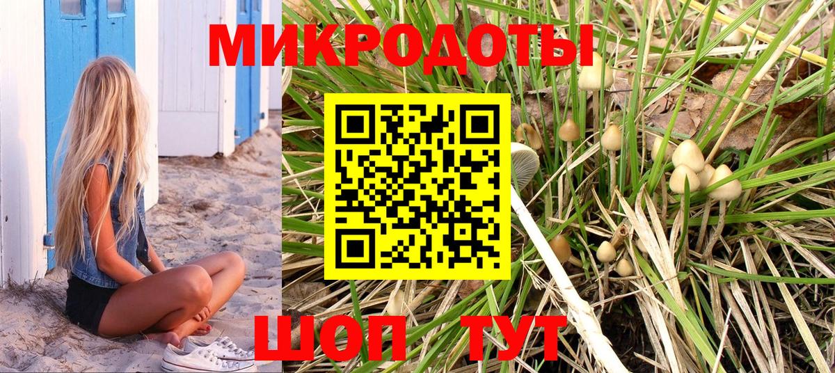 Псилоцибиновые грибы Psilocybe Мелеуз